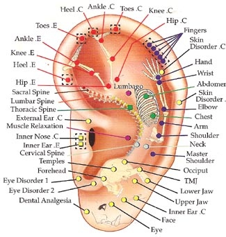 Dallas Chiropractor | Dallas chiropractic Needles Acupuncture | TX |